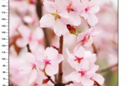 photo (32)